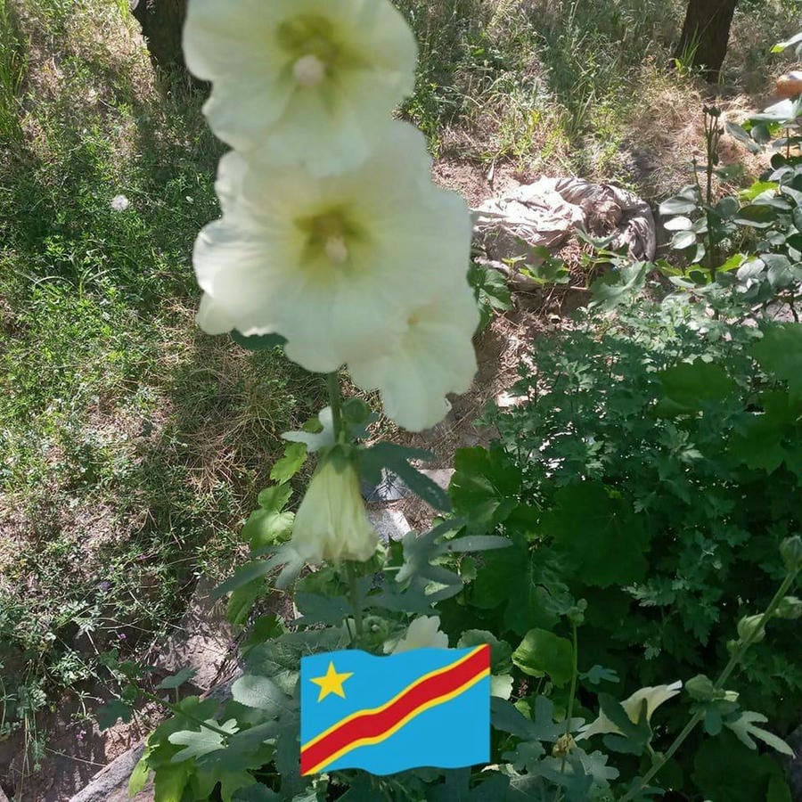 املاک عالیجناب شعبه اذربایجان شرقی