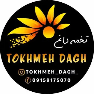 ?تخمه_داغ?