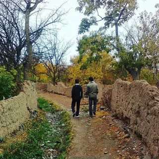 گزیک