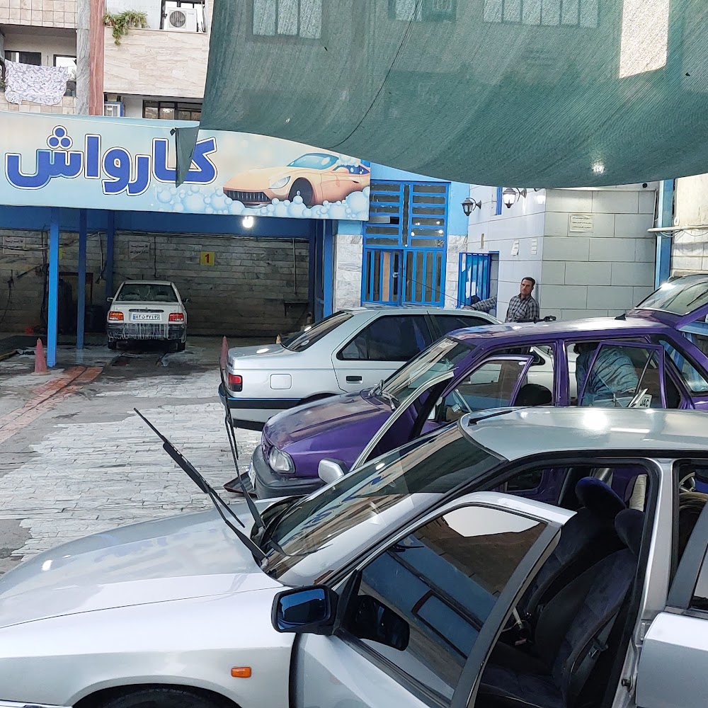 کارواش هامین