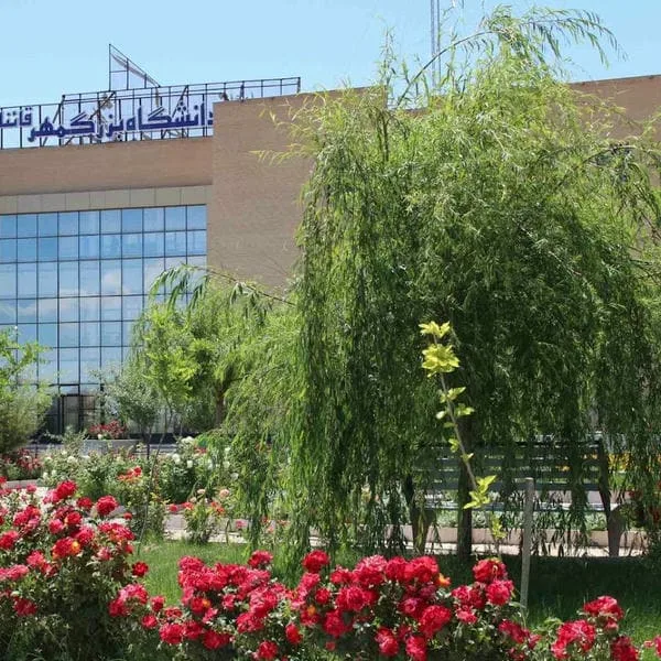 Bozorgmehr University