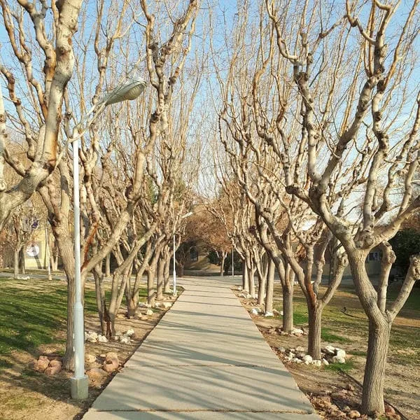اداره کل آموزش دانشگاه صنعتی اصفهان