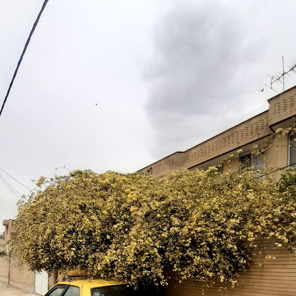 کارواش بخار نانو ویژن