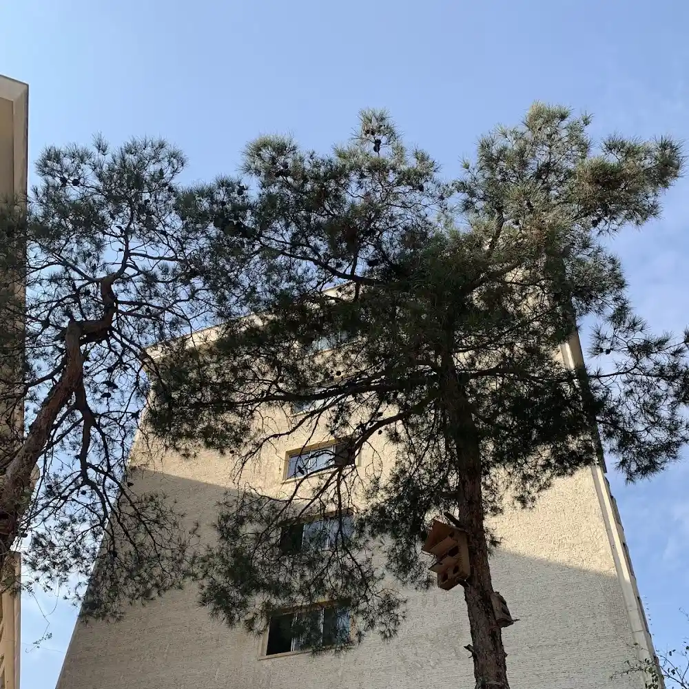 Economy and Accounting Faculty of Islamic Azad University South Tehran Branch