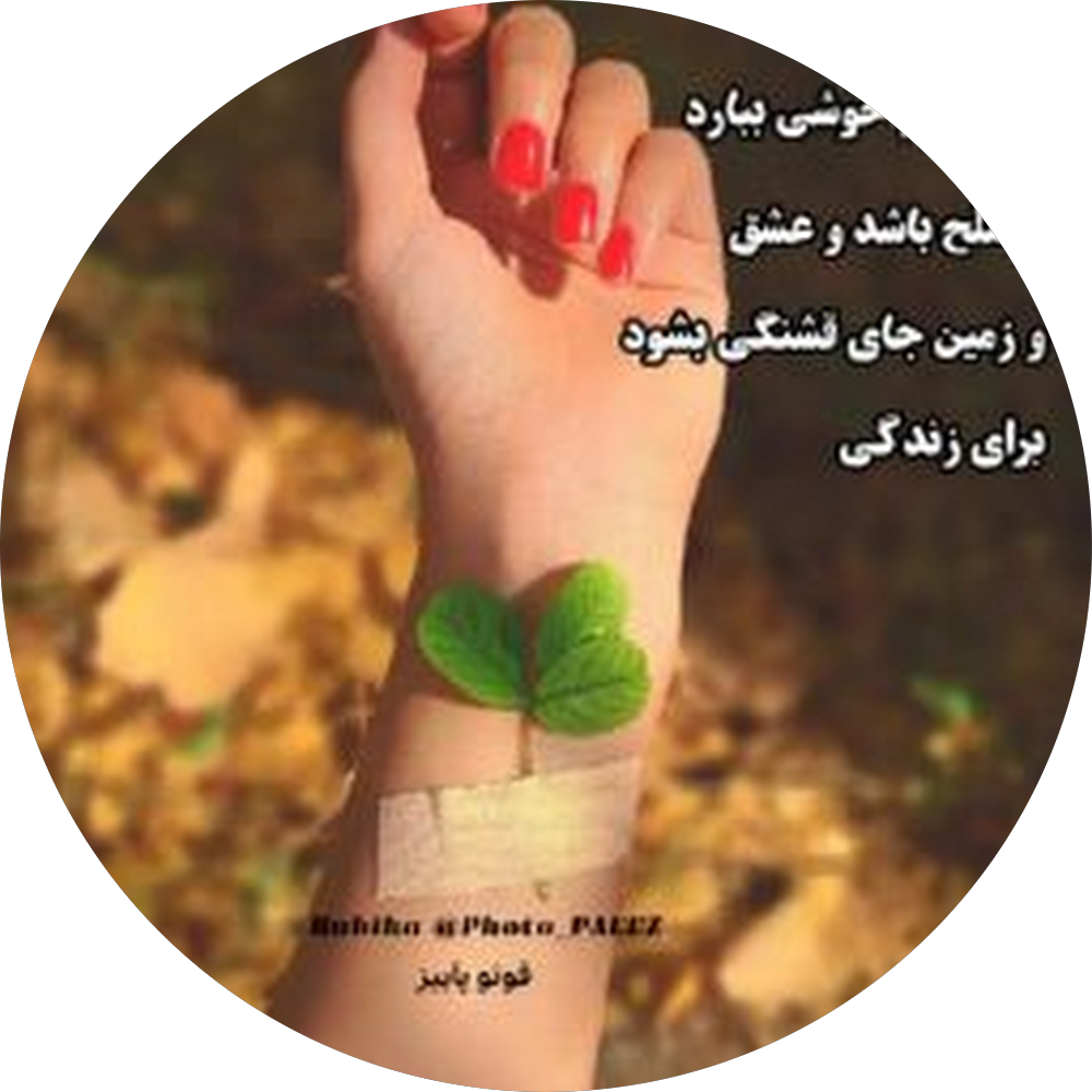 اموزش و تعلیم رانندگی امیر میبد