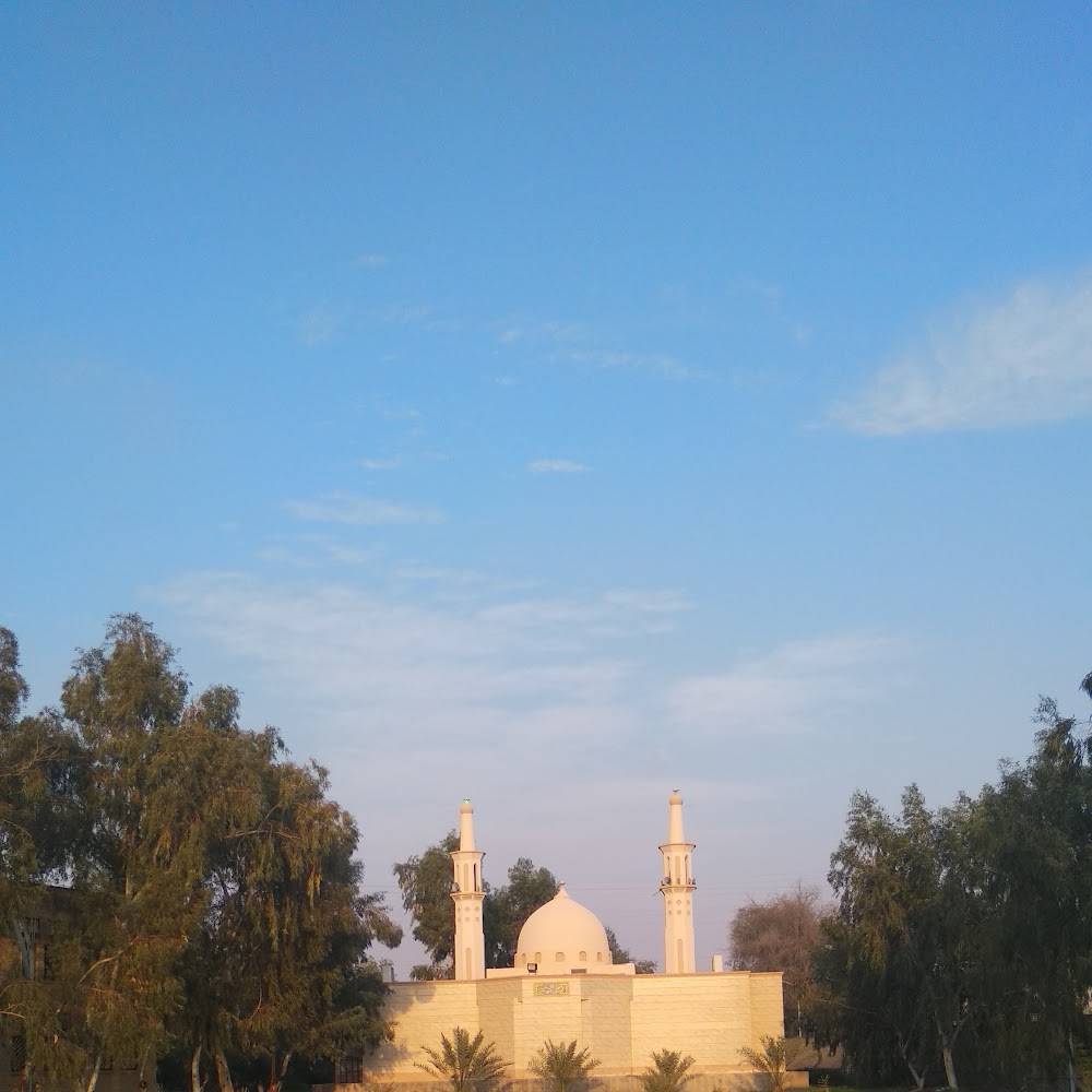 دانشگاه فنی و حرفه ای