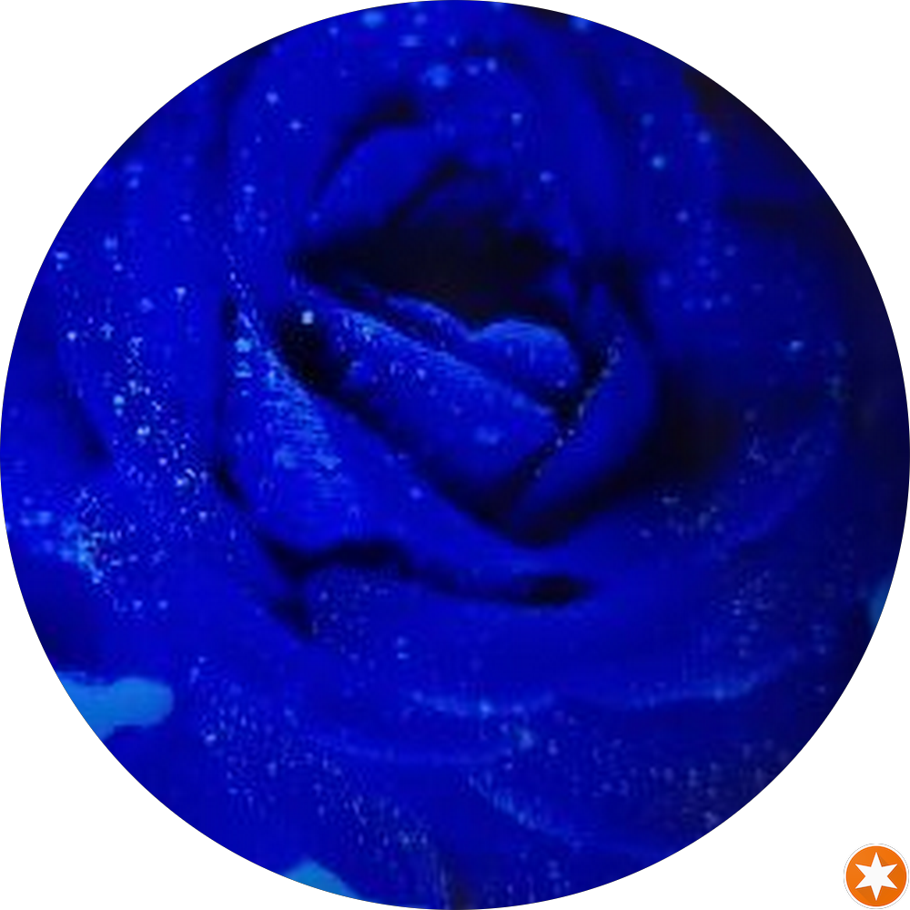 تعمیرات موبایل علیرضا ( ای تو )