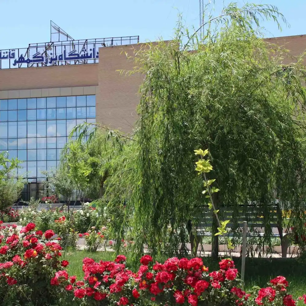Bozorgmehr University