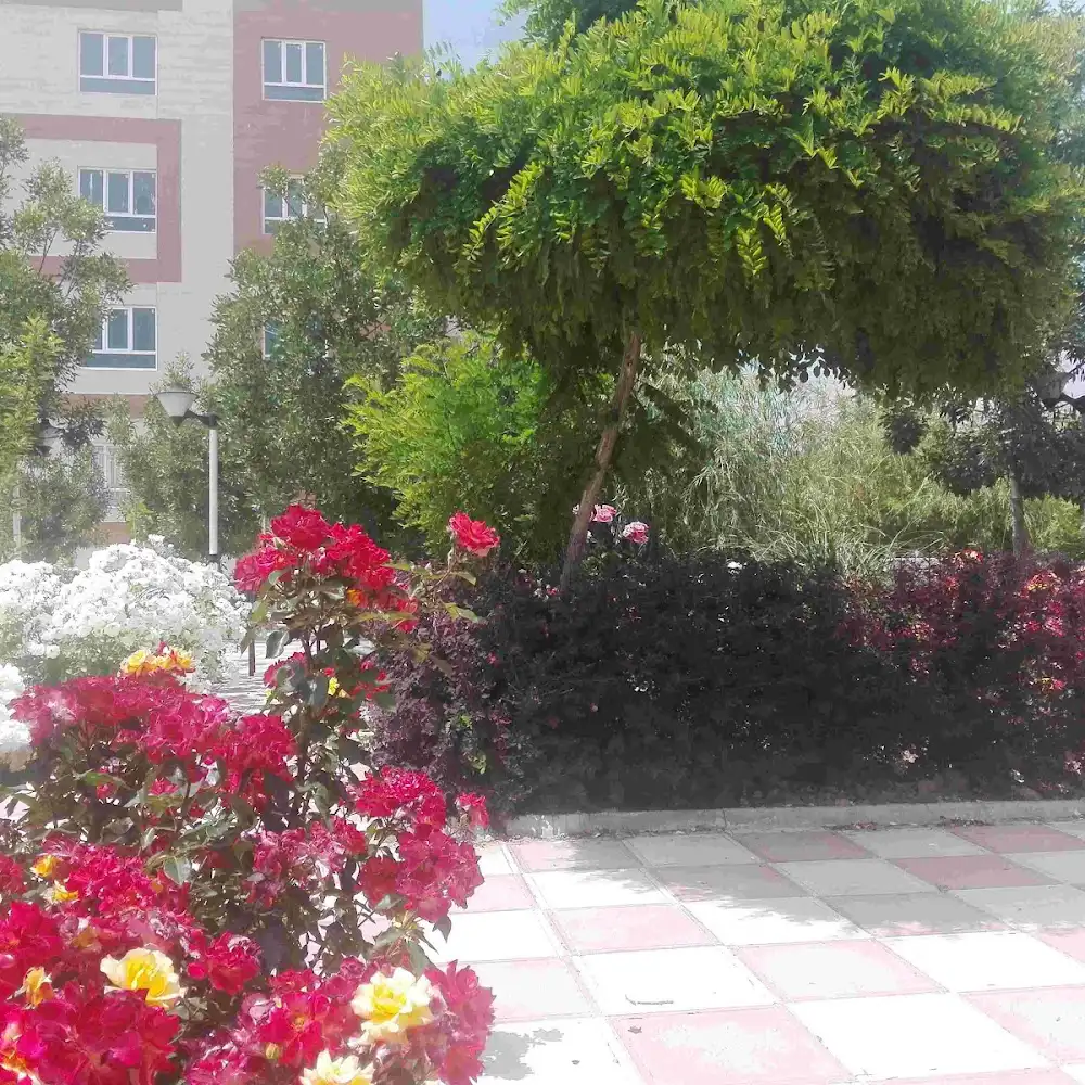 موسسه آموزش عالی حكيم نظامی