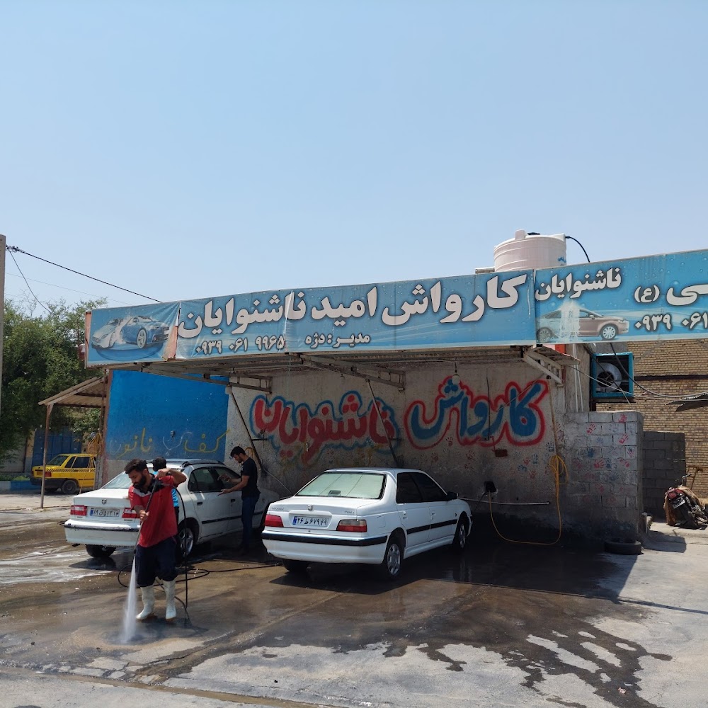 کارواش نانو بخار شهر زیبا
