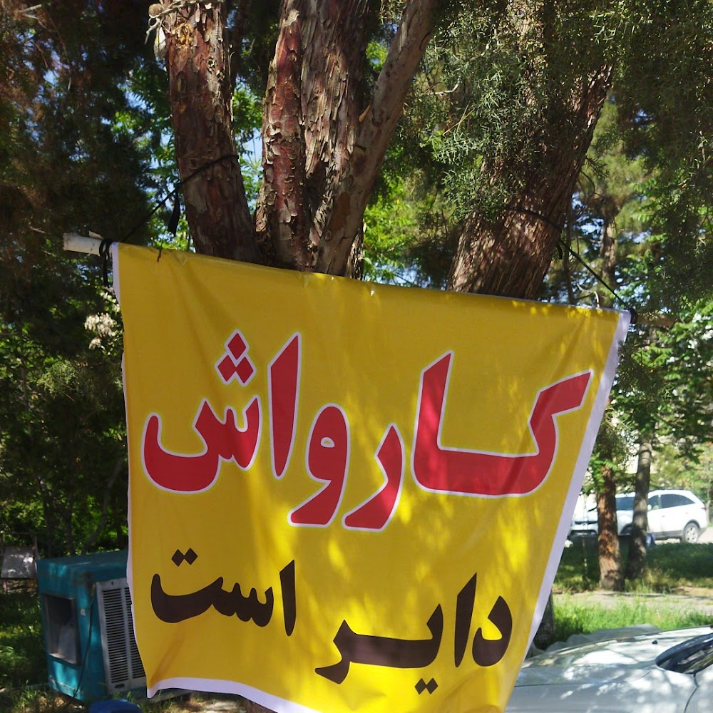 کارواش ولیعصر