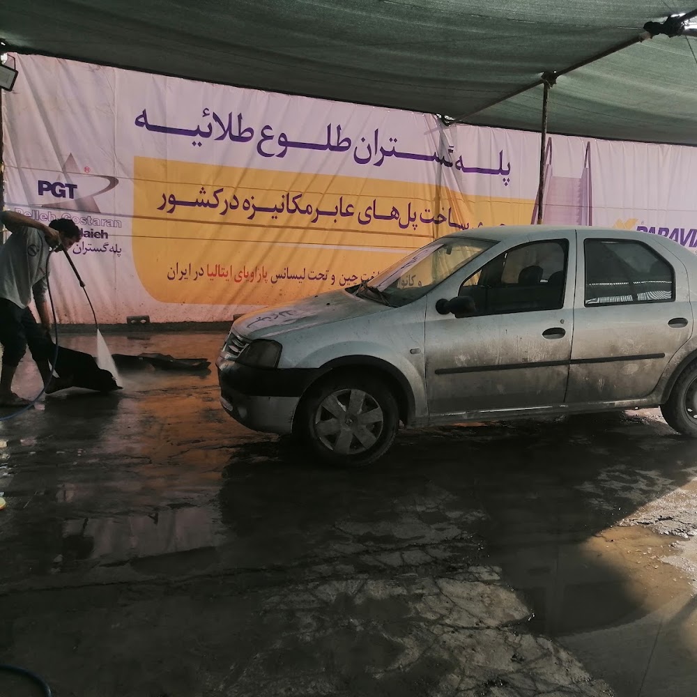 کارواش دلفین