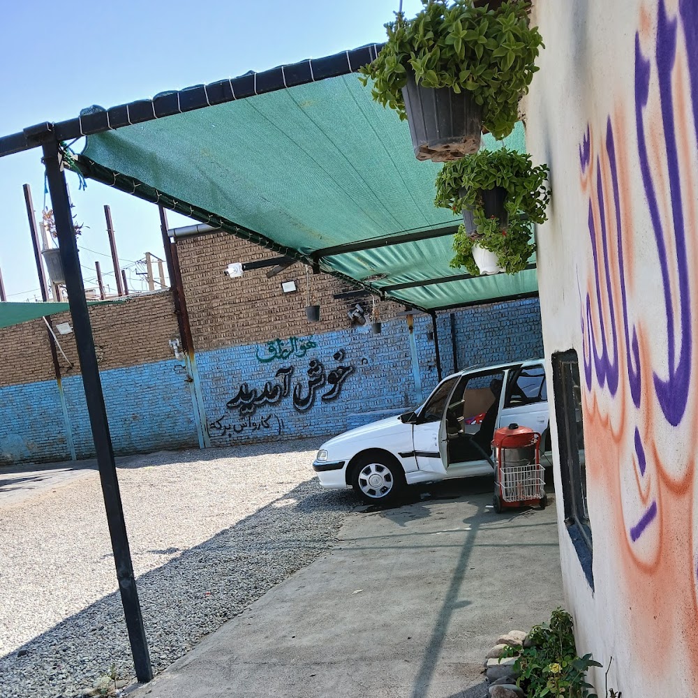 کارواش برکه