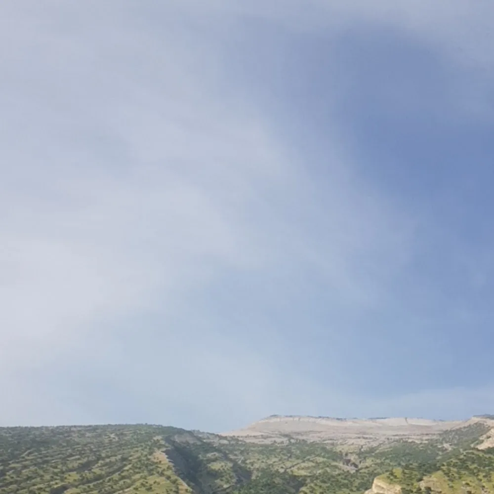 موسسه حسابداری بوعلی حساب پویا