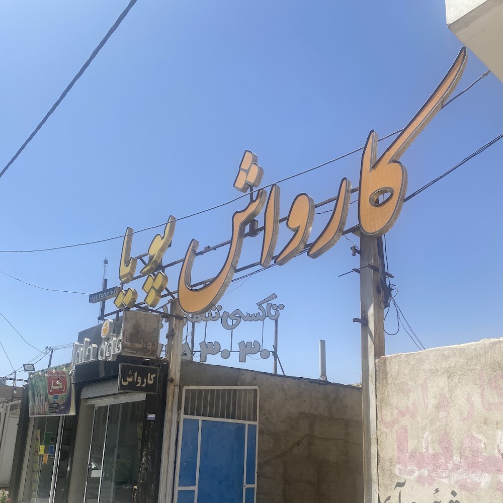 کارواش پویا