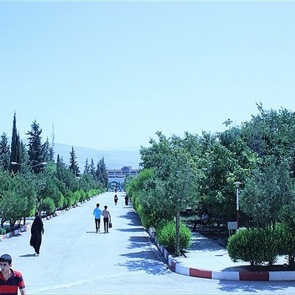 آموزشگاه علمی و مشاوره باما