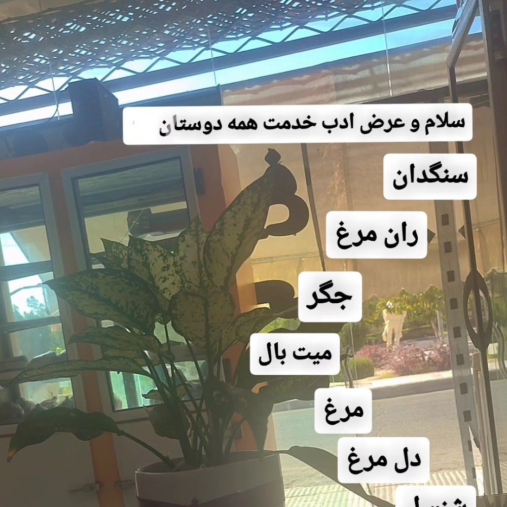 تعمیرات صوتی تصویری کردزاده