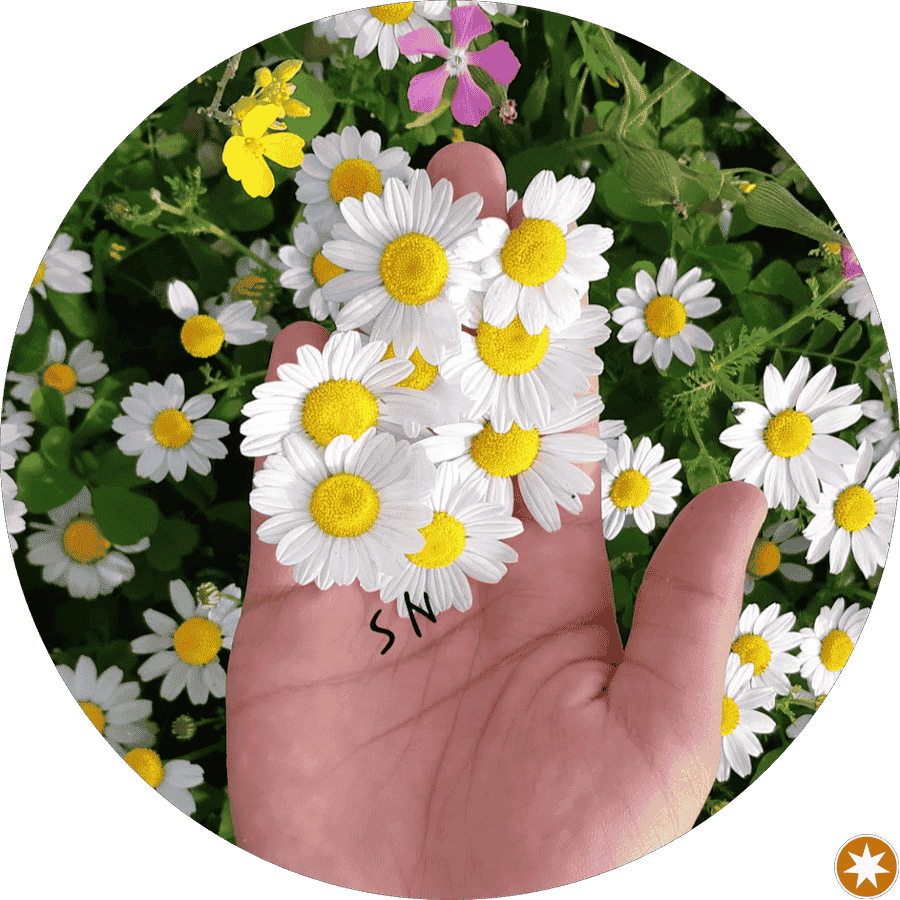 مهندسی مکانیک و برق خودرو مسلم فیروزی