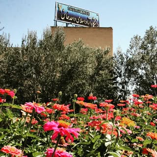 دانشگاه آزاد اسلامی واحد خاش