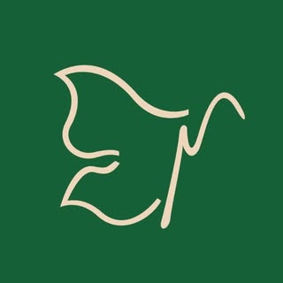 گروه ساختمانی اصل فلاح(فردوس)