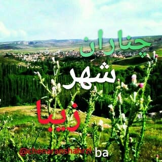چنارانشهرزیبا