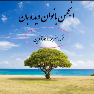 ?انجمن بانوان دیده بان ?