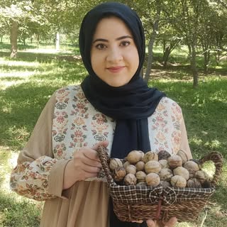 گردوچی | گردو آذربایجان