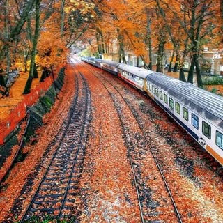 مهمان پذیر پارسیان (نریمانی)