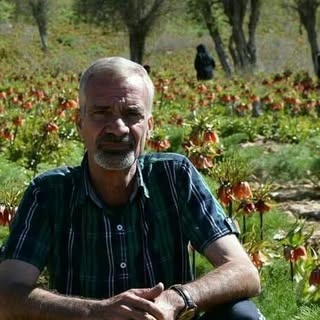 سید حمید حجازی