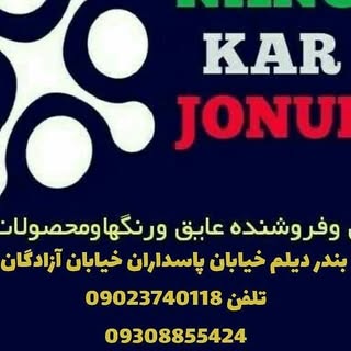 نانوکار جنوب