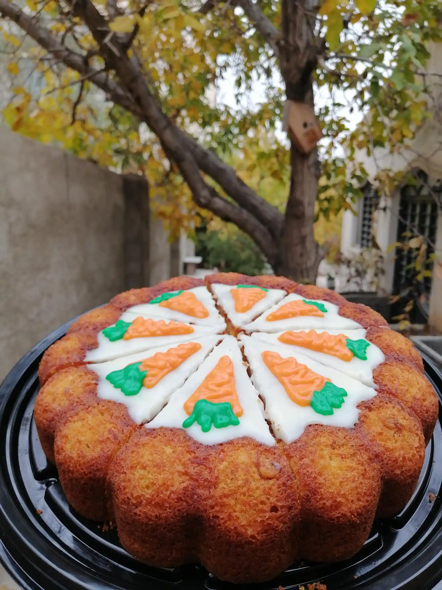 غذای خانگی ارومیه