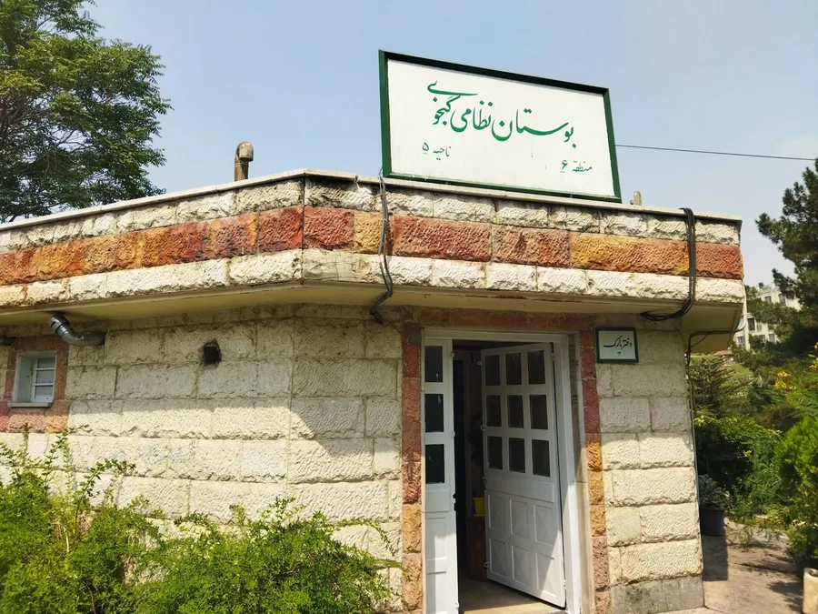 گلدیران