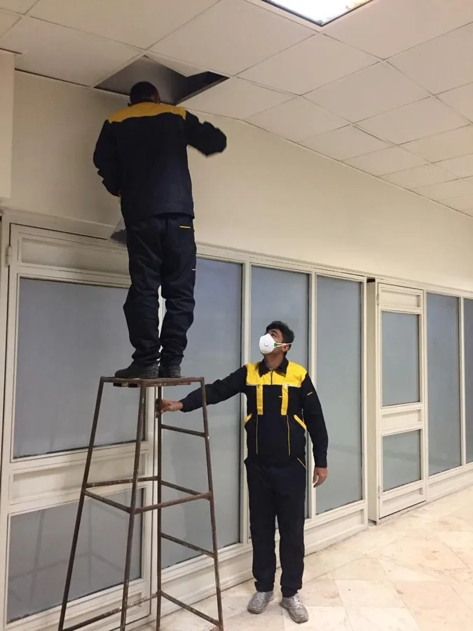 سمپاشی تخصصی با استفاده از سموم بدون بو