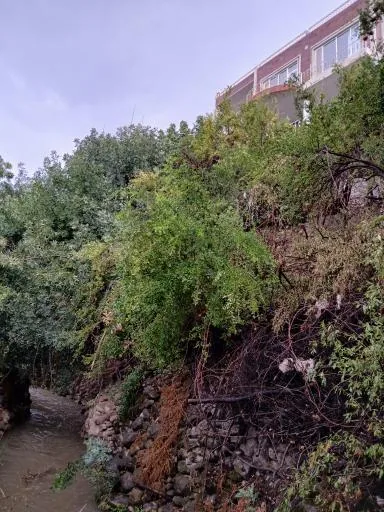 کافه رستوران مهر و ماه