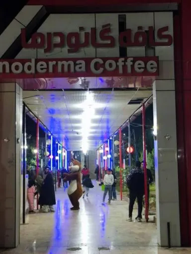 کافه گانودرما