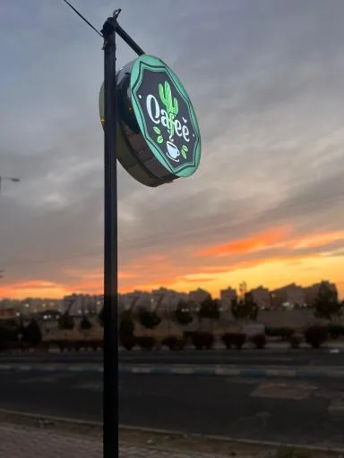 کافه کاکتوس