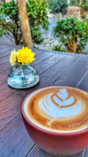 کافه سیلوئت