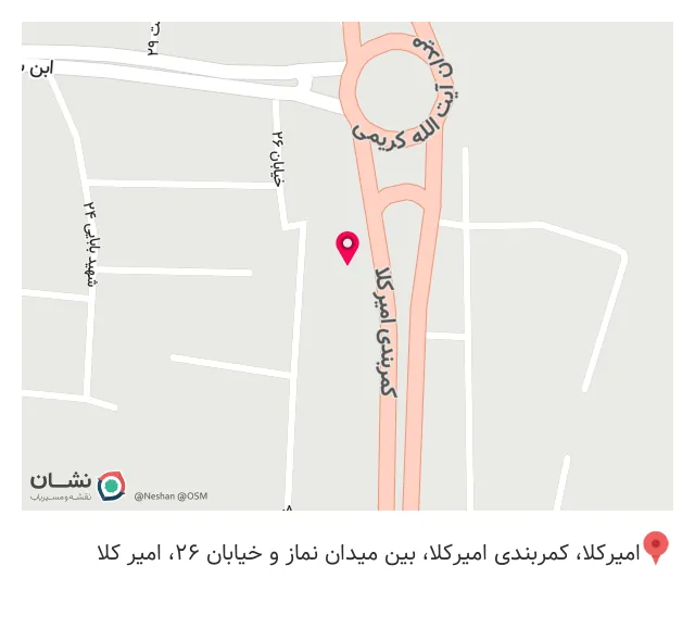 کافه درخت