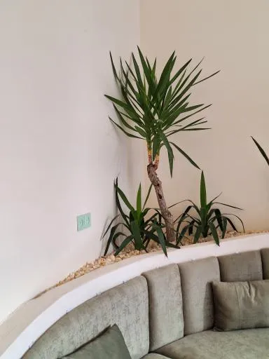 کافه رستری بوربون