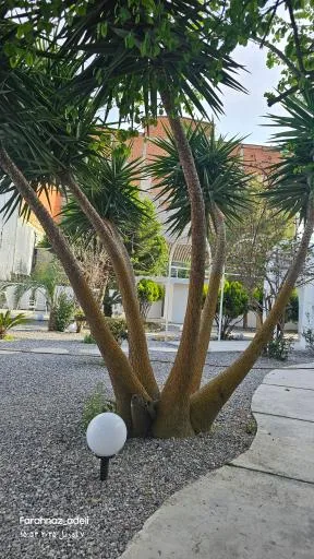 کافه رستوران مارفیل