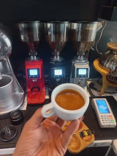 کافه ژولپ