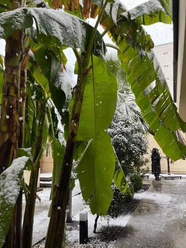 کافه بیکروم