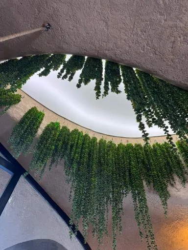 کافه غار گوریلا