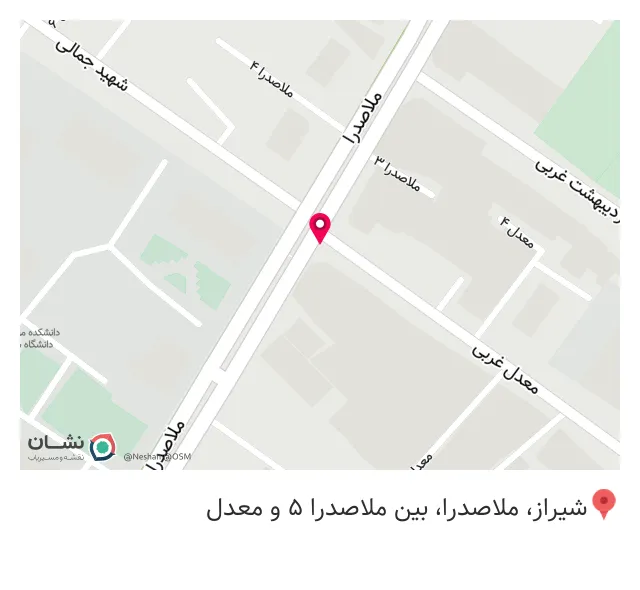چرم بوفالو سیاه