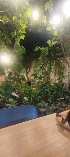 کافه رستوران عمارت ساسانیان
