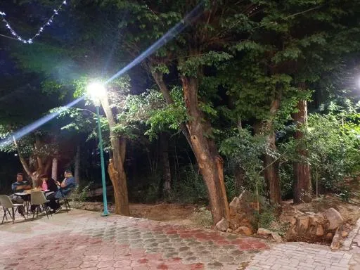 کافه کاج