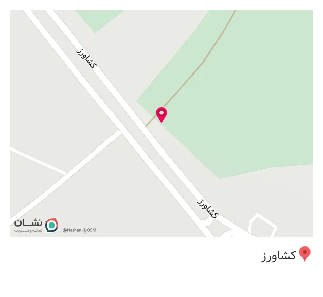 کافه تک درخت