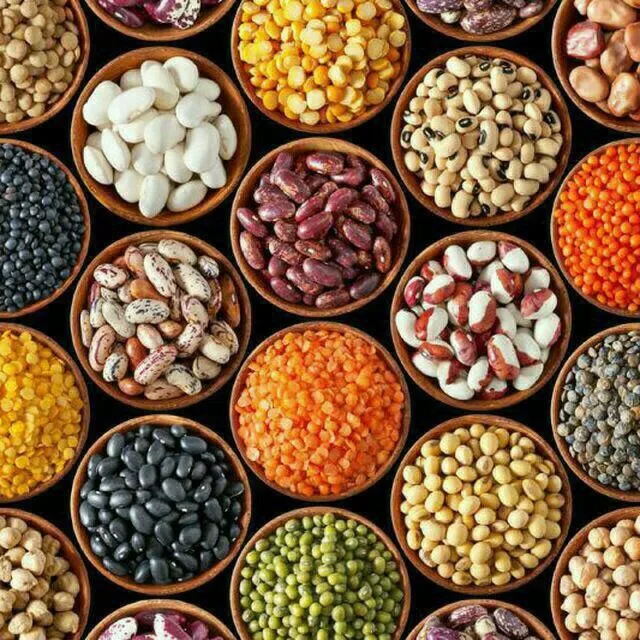 خواربار فروش و پخش حبوبات و گندم