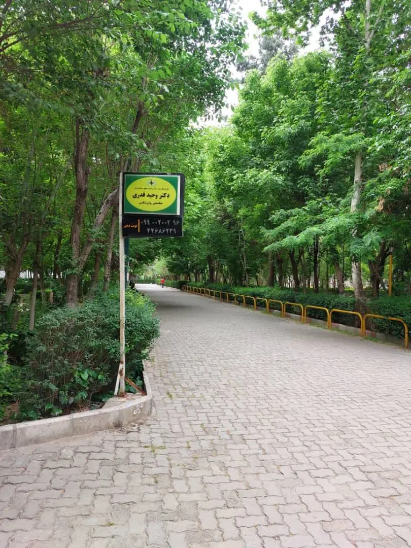 روان‌شناس و زوج درمانگر دکتر وحید قدری