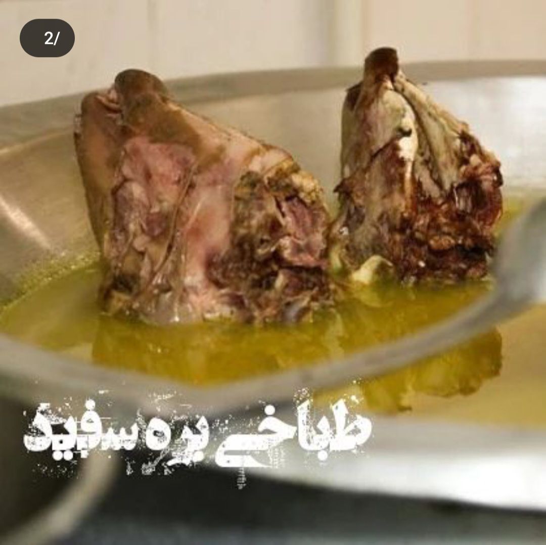 طباخی بره سفید